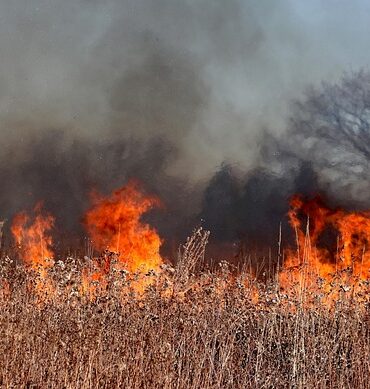 Renforts internationaux pour combattre les feux de forêt au Québec