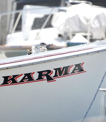 Lacolle : les marinas face à une vague d'épaves abandonnées