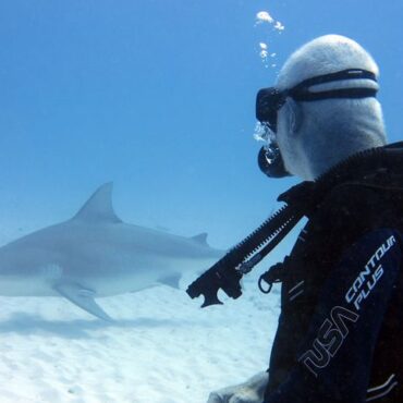 Attaque de requin à Percé : les activités de plongée suspendues