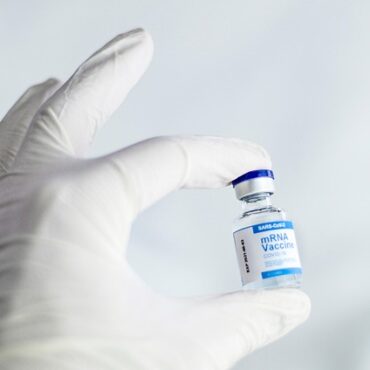 Saint-Jean-sur-Richelieu : campagne de vaccination d'urgence pour les animaux