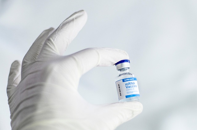 Saint-Jean-sur-Richelieu : campagne de vaccination d'urgence pour les animaux