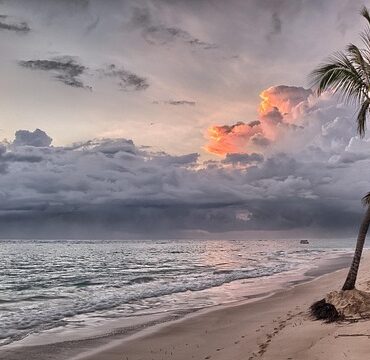 Jean-François Malo : un fugitif québécois localisé en Martinique