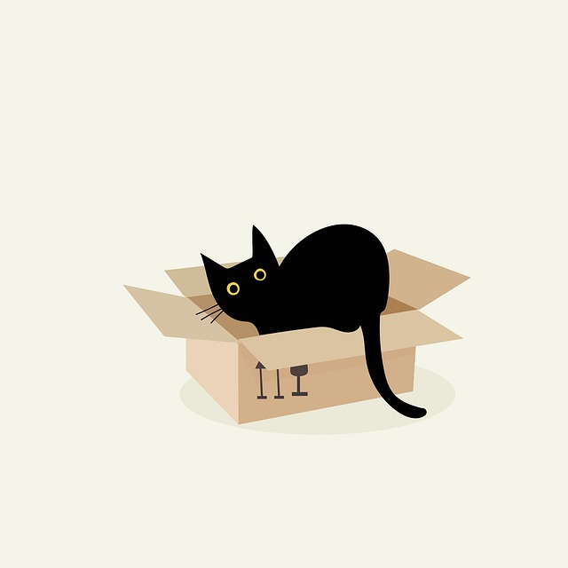 Arrière-plan